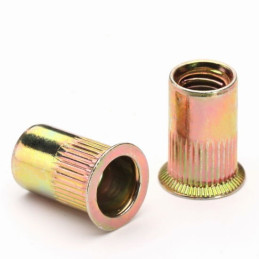 Rivet nut M6 zinc countersunk