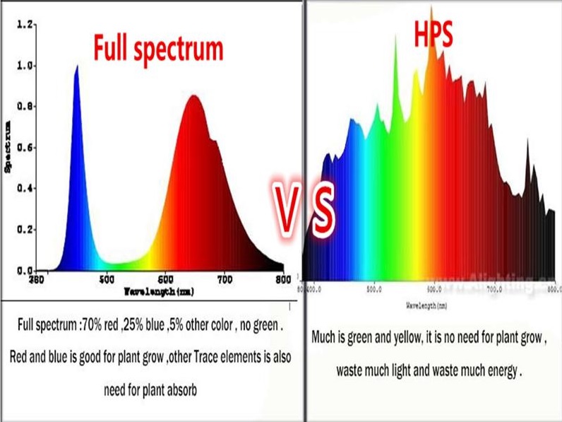 FullSpectrum.jpg